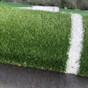 Athletic Turf with Lines